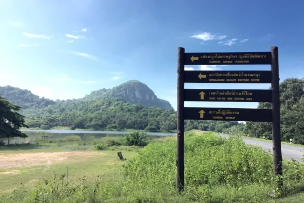 Khao-Chi-On-Non-Hunting-Area-2