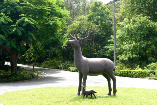 Khao-Chi-On-Non-Hunting-Area-4